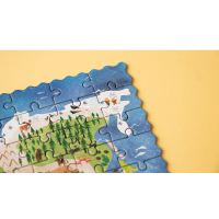 Discover the World (pocket)